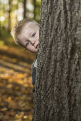 Ein kleiner Junge lugt hinter einem Baumstamm hervor - FSIF00521