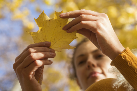 Eine Frau, die ein Herbstblatt untersucht, Nahaufnahme der Hände aus niedrigem Winkel, lizenzfreies Stockfoto