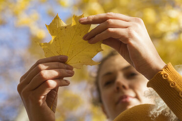 Eine Frau, die ein Herbstblatt untersucht, Nahaufnahme der Hände aus niedrigem Winkel - FSIF00540
