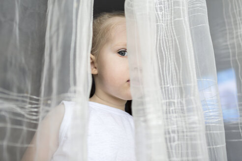 Girl peeking between translucent curtains - FSIF00564
