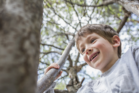 Ein fröhlicher Junge klettert auf einen Baum, lizenzfreies Stockfoto