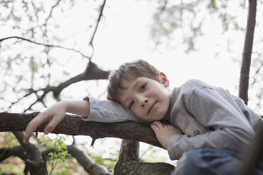 A serene boy relaxation on a tree branch he climbed - FSIF00694