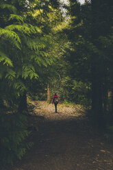 Rear view of person walking on footpath in forest - FSIF00971