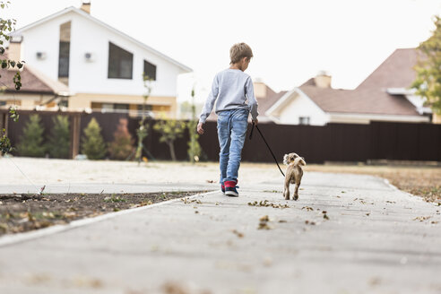 Rear view of boy walking with dog on footpath - FSIF00996