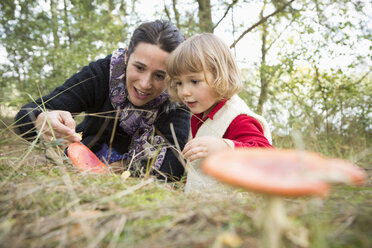 Mutter und Tochter erforschen Pilze auf einem Feld - FSIF01006