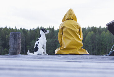 Rückansicht einer Frau in einem gelben Regenmantel, die mit einem Hund auf einem Steg im Wald sitzt - FSIF01050