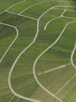 Luftaufnahme einer Agrarlandschaft, Hohenheim, Stuttgart, Baden-Württemberg, Deutschland - FSIF01308