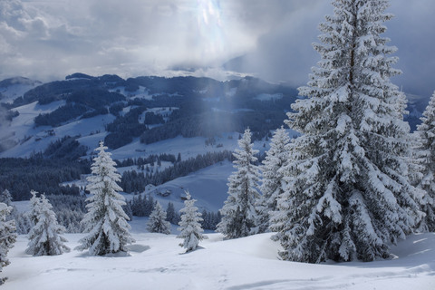 Deutschland, Bayern, Chiemgau, Chiemgauer Alpen, Sachrang, Spitzstein im Winter, lizenzfreies Stockfoto