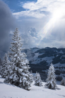 Deutschland, Bayern, Chiemgau, Chiemgauer Alpen, Sachrang, Spitzstein im Winter - HAMF00267