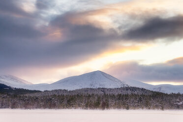 Vereinigtes Königreich, Schottland, Highlands, Cairngorms National Park, Loch Morlich, Sonnenuntergang - SMAF00930