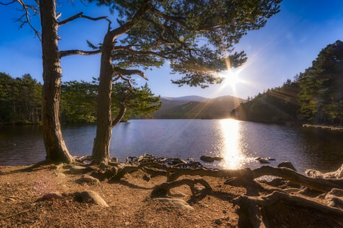 Vereinigtes Königreich, Schottland, Highlands, Cairngorms National Park, Loch an Eilean, Winter - SMAF00945