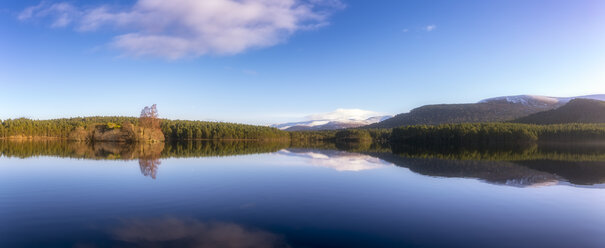 Vereinigtes Königreich, Schottland, Highlands, Cairngorms National Park, Loch an Eilean im Winter - SMAF00947