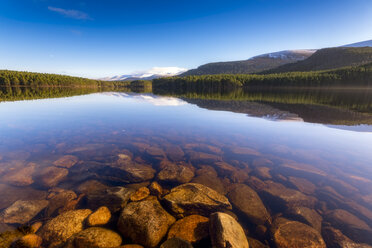 United Kingdom, Scotland, Highlands, Cairngorms National Park, Loch an Eilean in winter - SMAF00948