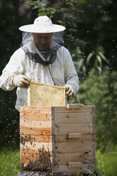 Männlicher Imker bei der Untersuchung eines Bienenstocks auf einem Bauernhof - FSIF01379