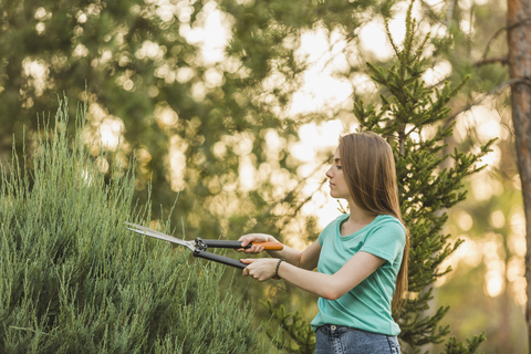 Junge Frau schneidet Pflanzen mit einer Gartenschere, lizenzfreies Stockfoto