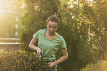 Frau schneidet Pflanzen mit einer Gartenschere - FSIF01402