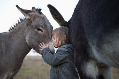 Seitenansicht eines süßen Mädchens, das einen Esel auf einem Feld küsst - FSIF01479