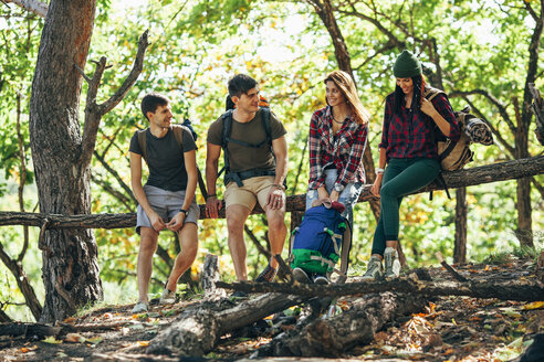 Freunde sitzen in voller Länge auf einem Holzstamm im Wald - FSIF01508