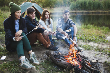 Freunde rösten Marshmallows im Wald - FSIF01524