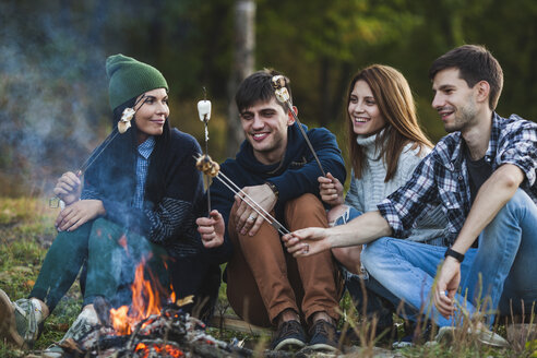Smiling friends roasting marshmallows in forest - FSIF01525