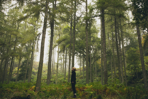 Seitenansicht einer im Wald stehenden Frau, lizenzfreies Stockfoto