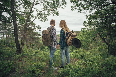 Rückansicht eines Paares, das sich beim Wandern im Wald an den Händen hält, lizenzfreies Stockfoto