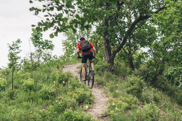 Rear view of man riding mountain bike on dirt track up hill - FSIF01722