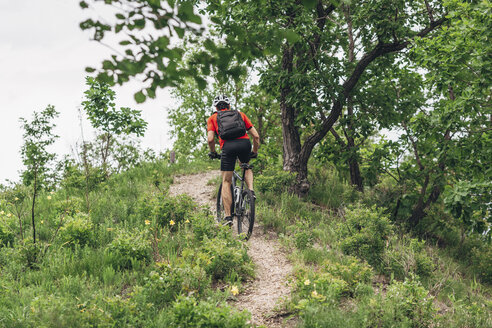 Rückansicht eines Mannes, der mit seinem Mountainbike auf einer unbefestigten Straße einen Hügel hinauffährt - FSIF01722