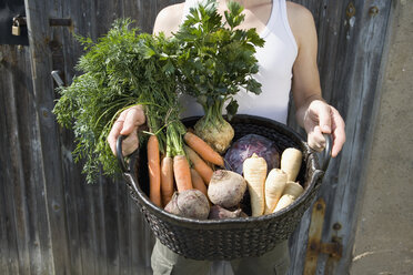 Man holding freshly picked vegetables in basket - FSIF02066