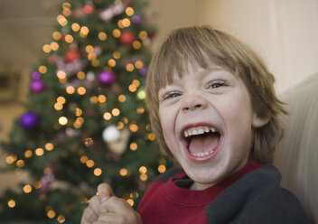 Ein kleiner Junge lacht vor einem Weihnachtsbaum - FSIF02116