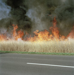 Ein Feuer brennt am Straßenrand - FSIF02136