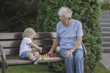 Älterer Mann spielt mit seiner Enkelin auf einer Parkbank gegen einen Baum Schach - FSIF02165