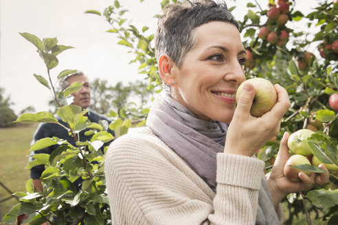 Frau riecht frischen Apfel im Obstgarten - FSIF02188