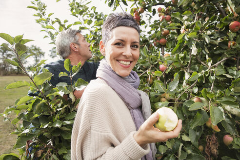 Porträt einer glücklichen Frau, die einen Apfel im Obstgarten isst - FSIF02191