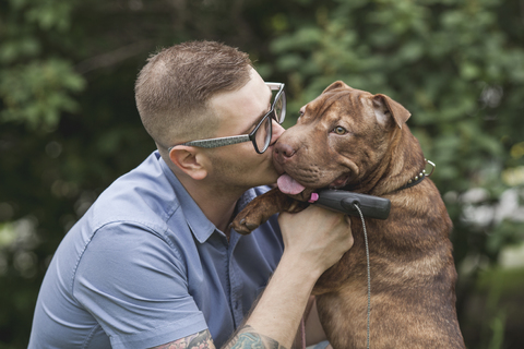 Ein junger Mann küsst seinen Staffordshire Terrier/Shar-Pei Hund, Nahaufnahme, lizenzfreies Stockfoto