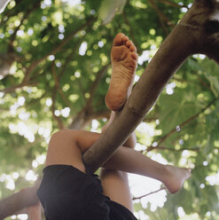 Child's legs wrapped around a tree branch - FSIF02391