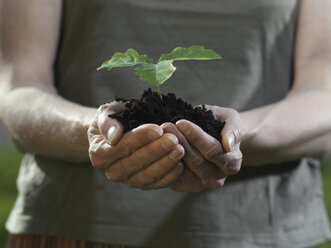 Cupped human hands holding a plant in loose soil - FSIF02563