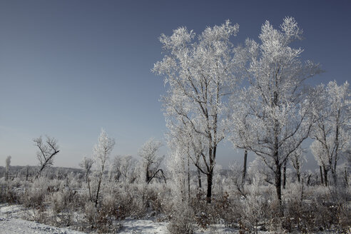 Russland, Oblast Amur, Landschaft im Winter - VPIF00305