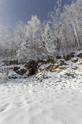 Russia, Amur Oblast, snow-covered nature - VPIF00306