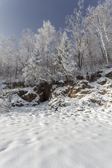 Russland, Oblast Amur, schneebedeckte Natur - VPIF00306