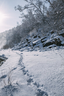 Russland, Gebiet Amur, Fußspuren in schneebedeckter Natur - VPIF00310