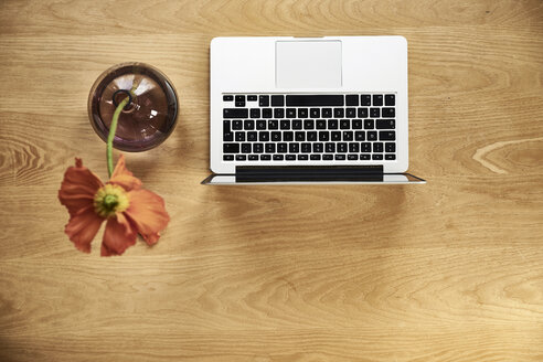 Laptop und Mohn in Blumenvase auf Holz, Draufsicht - FMKF04856