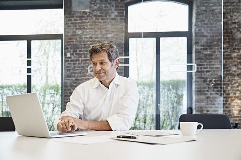 Mature businessman using laptop in modern office stock photo