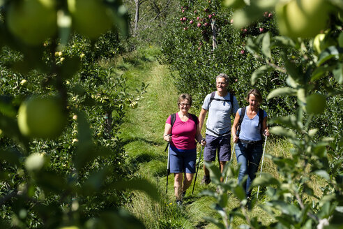 Italien, Südtirol, Vinschgau, Naturns, Apfelkuhle, Wanderer - LBF01783