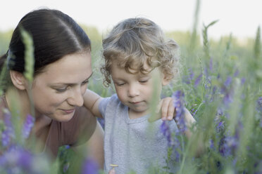 A woman and a young boy together in a field - FSIF02675