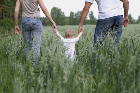 Zwei Eltern, die mit ihrer Tochter in einem Feld spazieren gehen, lizenzfreies Stockfoto