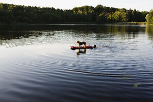 Ein Mann, der einen Hund auf einem Floß in einem See schiebt - FSIF02716