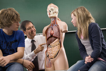 Ein Biologielehrer unterrichtet Studenten in Anatomie - FSIF02794