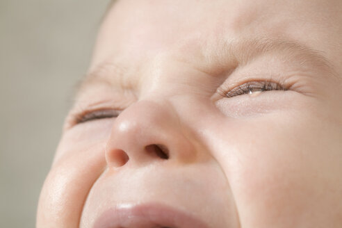A baby boy crying, extreme close up of face - FSIF02859