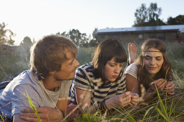 Three friends lying down amongst the timothy grass - FSIF02906